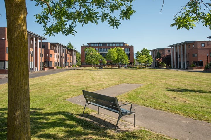 Foto 47 van Kokerjuffer 15