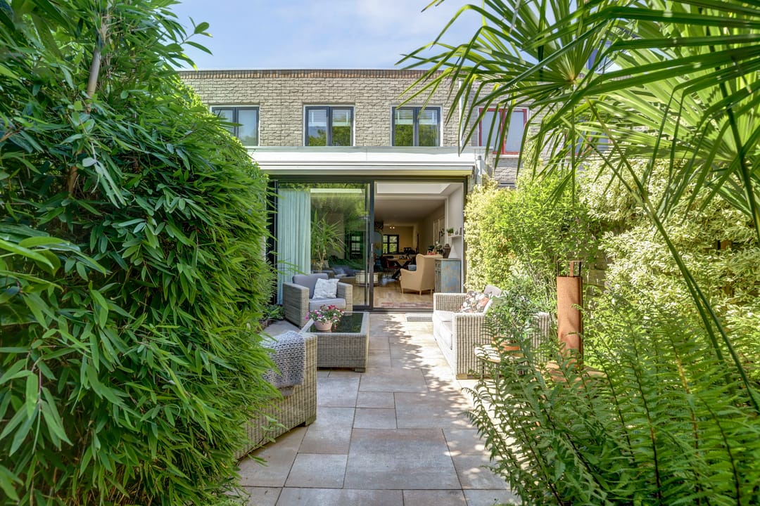 Foto 1 van Atlasvlinder 6