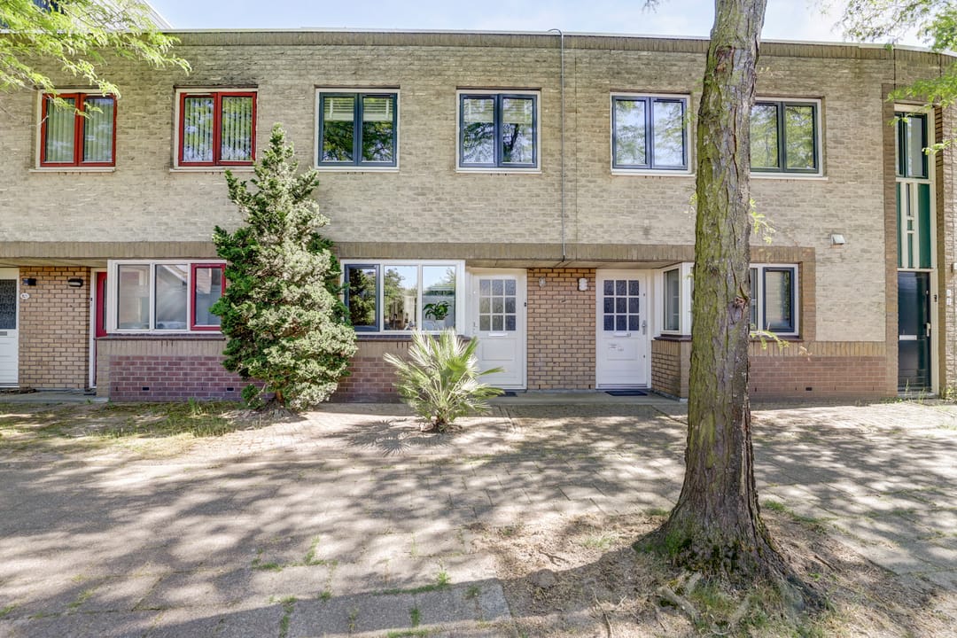 Foto 2 van Atlasvlinder 6