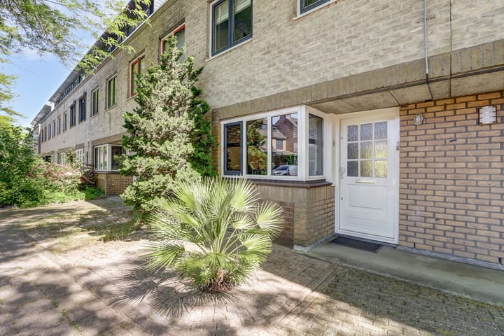 Foto 3 van Atlasvlinder 6