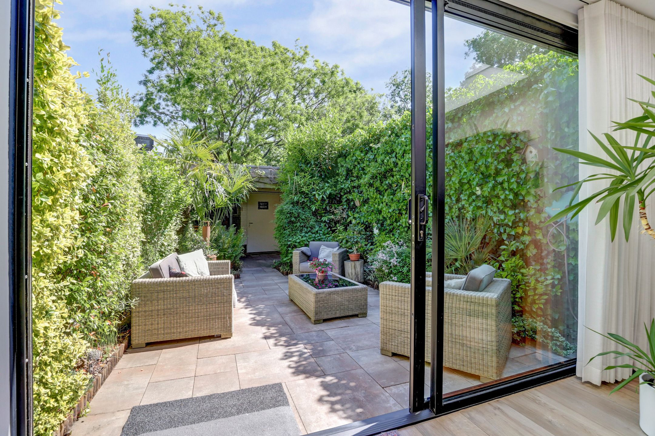 Foto 6 van Atlasvlinder 6