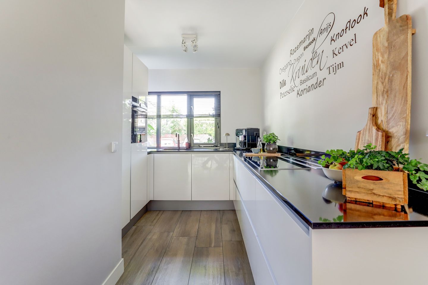 Foto 10 van Atlasvlinder 6