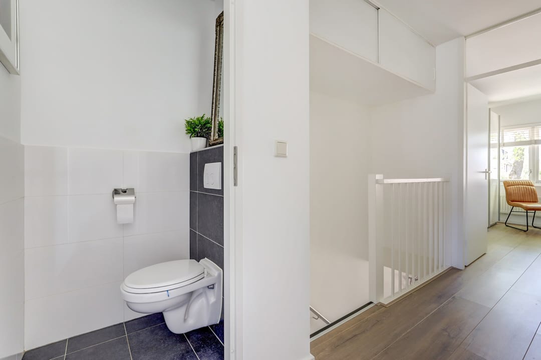 Foto 17 van Atlasvlinder 6