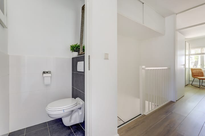 Foto 17 van Atlasvlinder 6