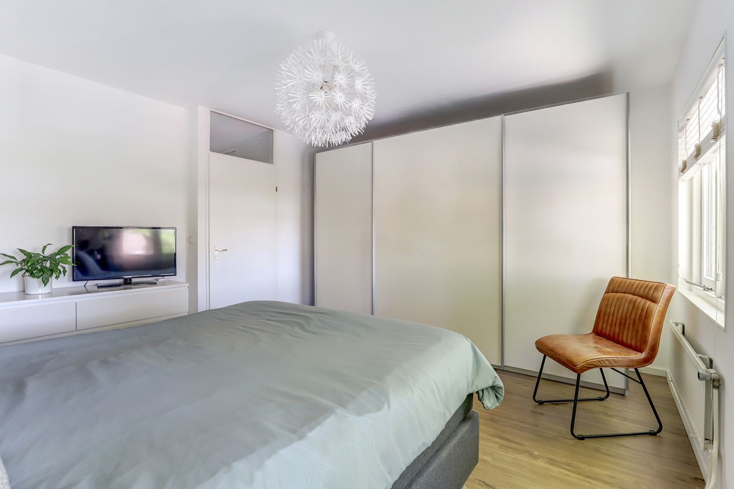 Foto 19 van Atlasvlinder 6