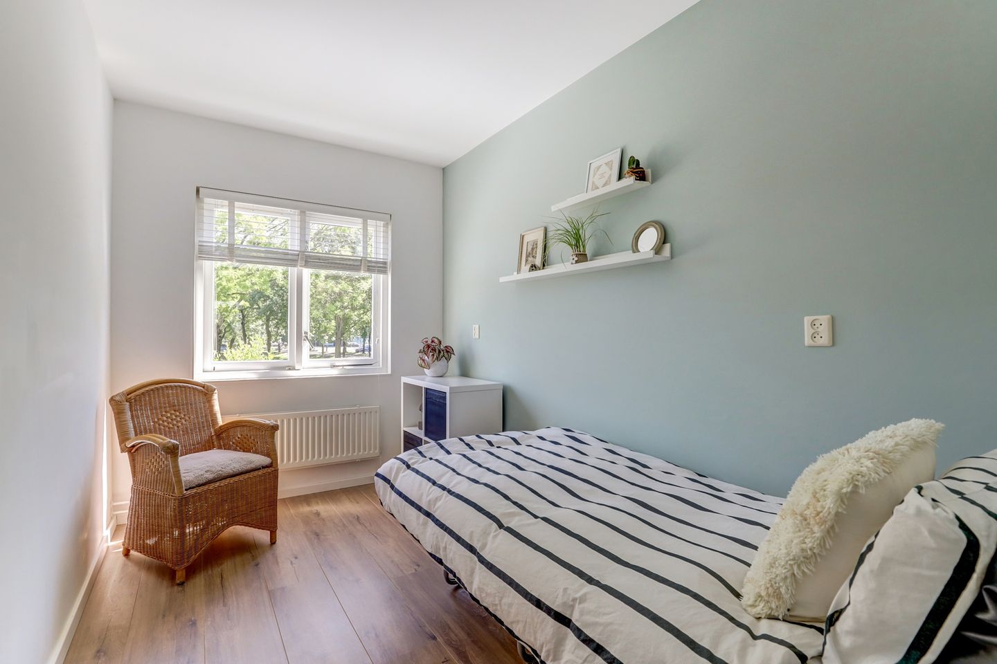 Foto 20 van Atlasvlinder 6