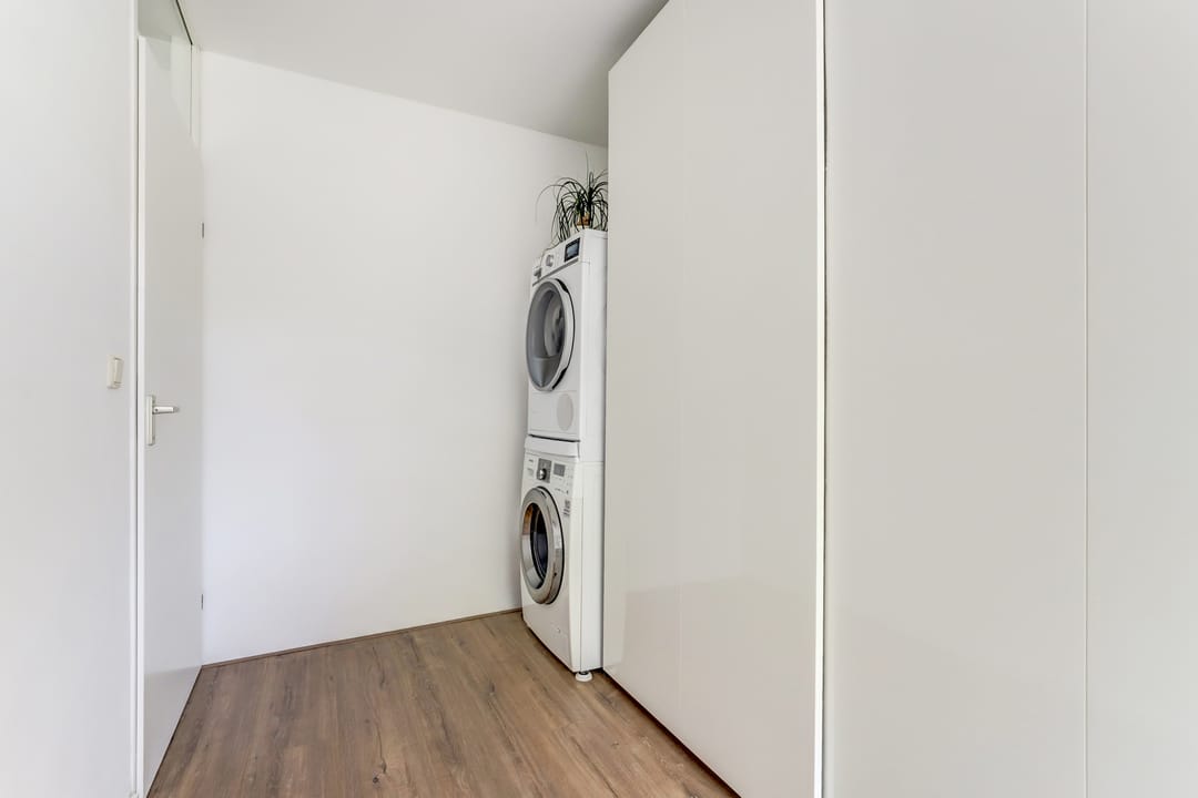 Foto 22 van Atlasvlinder 6