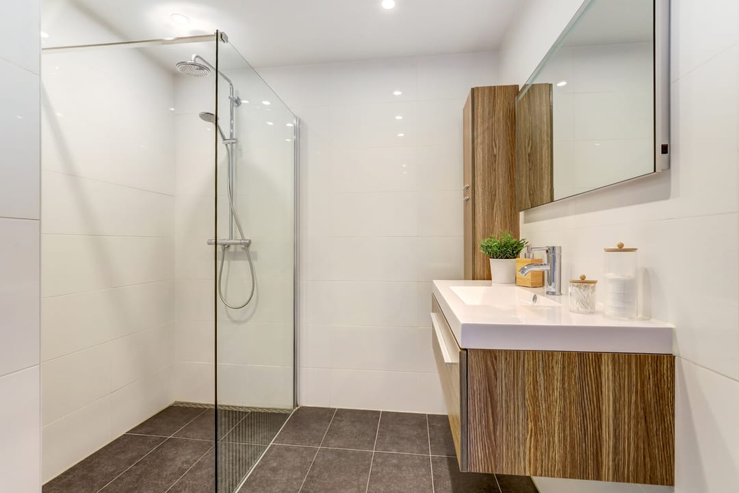 Foto 23 van Atlasvlinder 6