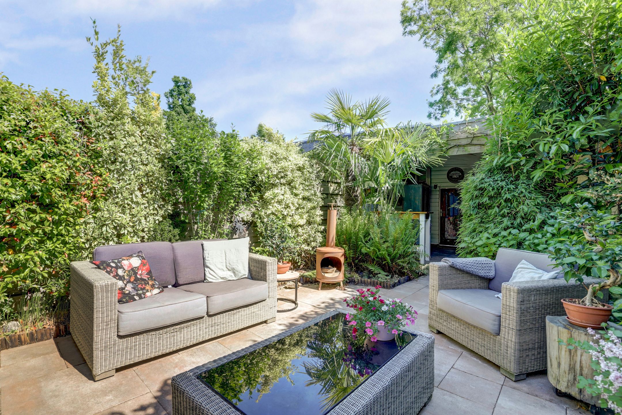 Foto 27 van Atlasvlinder 6