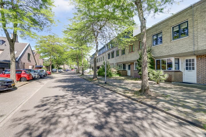 Foto 33 van Atlasvlinder 6