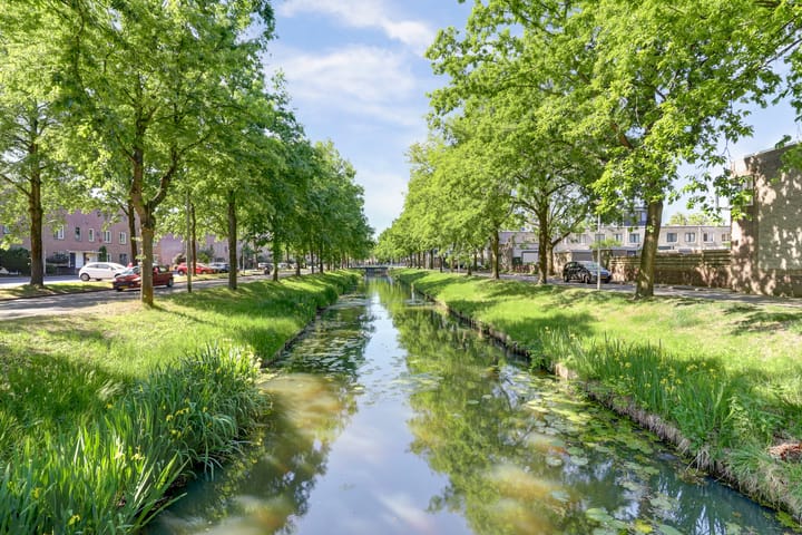 Foto 34 van Atlasvlinder 6