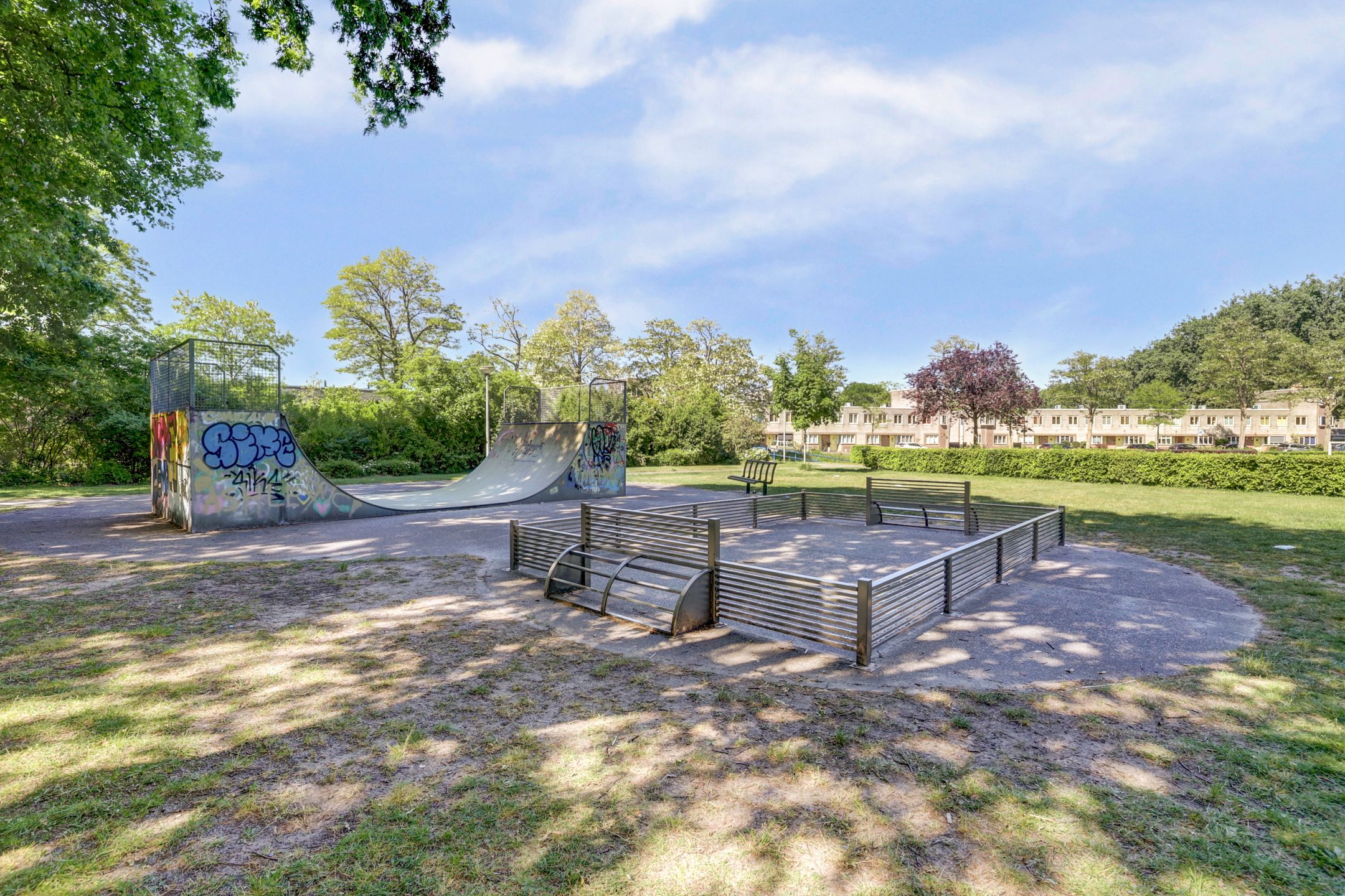 Foto 36 van Atlasvlinder 6