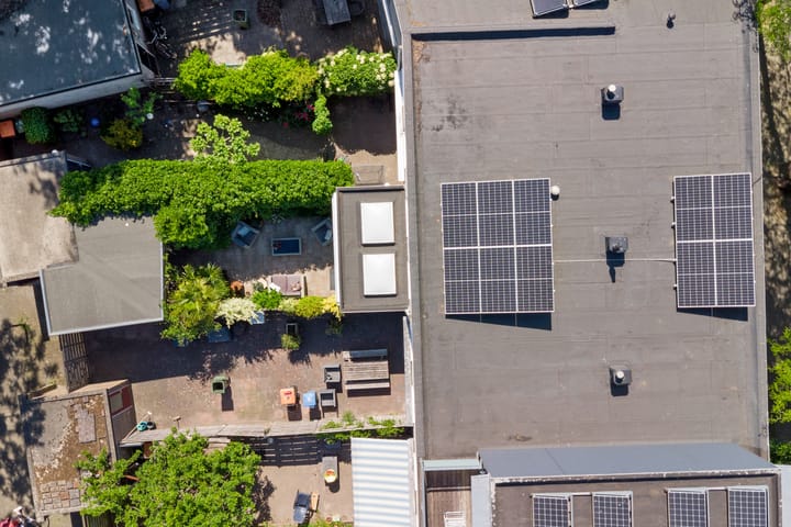 Foto 37 van Atlasvlinder 6