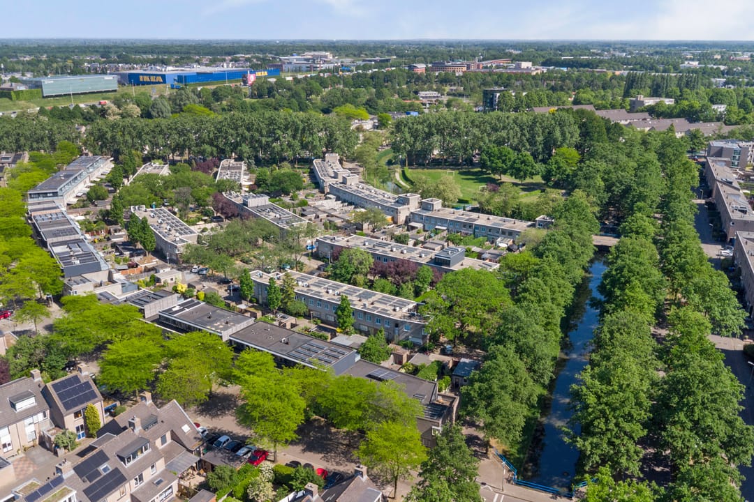 Foto 38 van Atlasvlinder 6