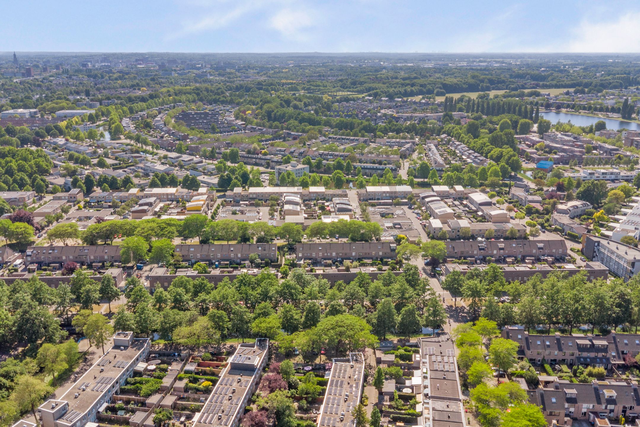 Foto 39 van Atlasvlinder 6