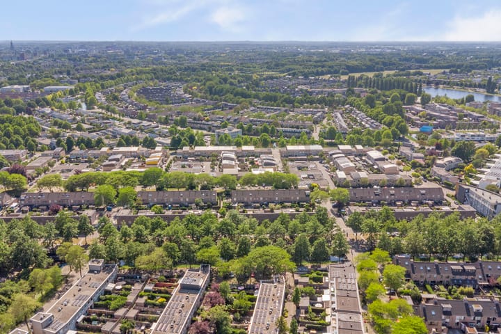 Foto 39 van Atlasvlinder 6