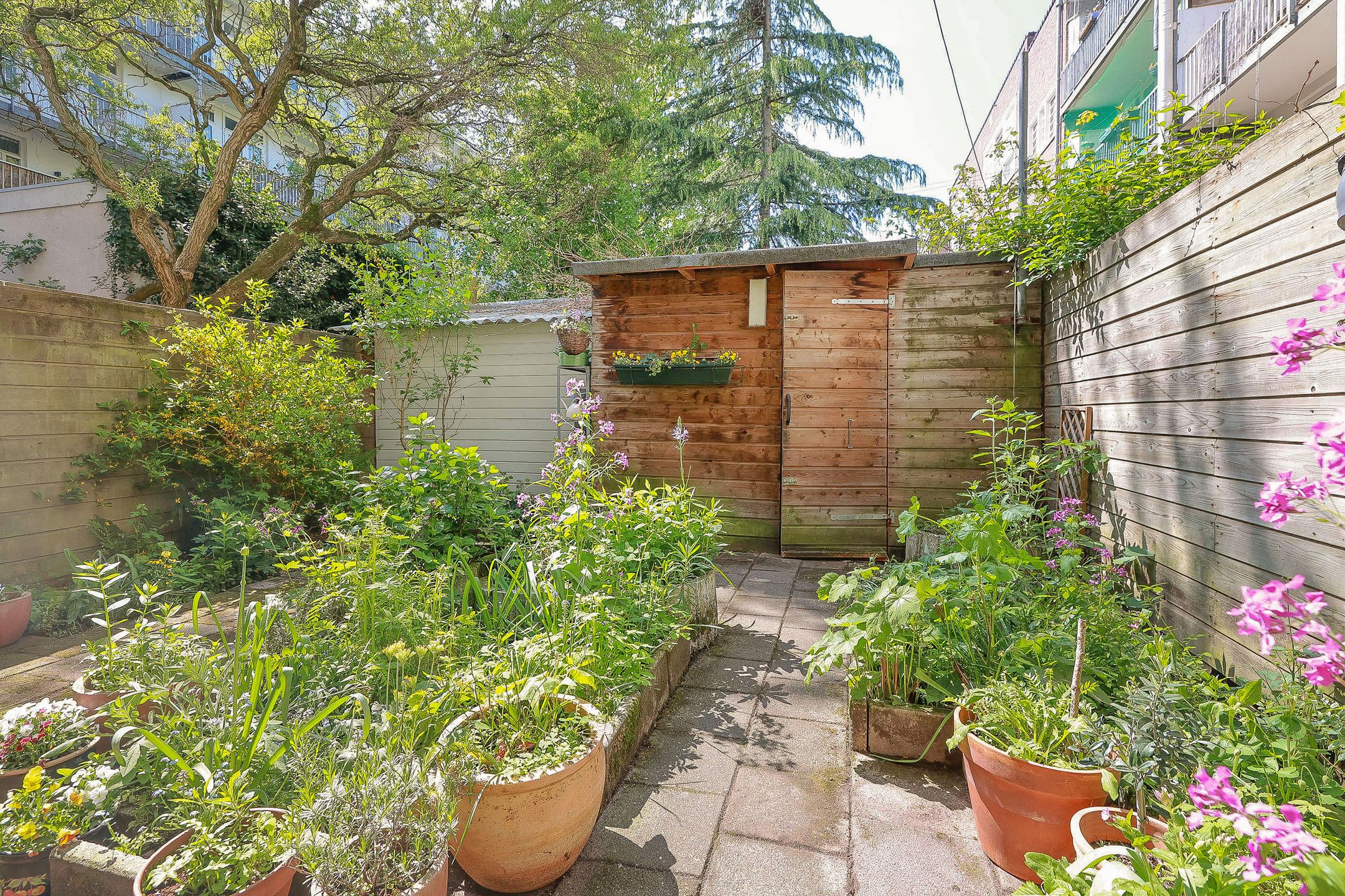 Foto 18 van Vespuccistraat 49-H