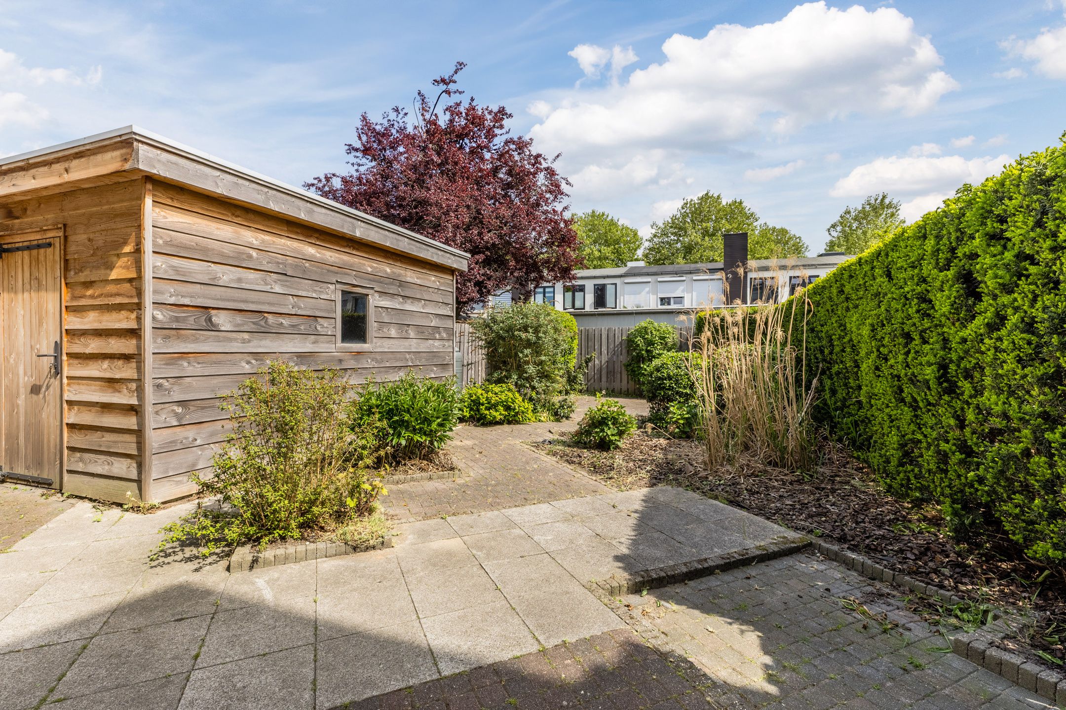 Photo 3 of Borneostraat 106