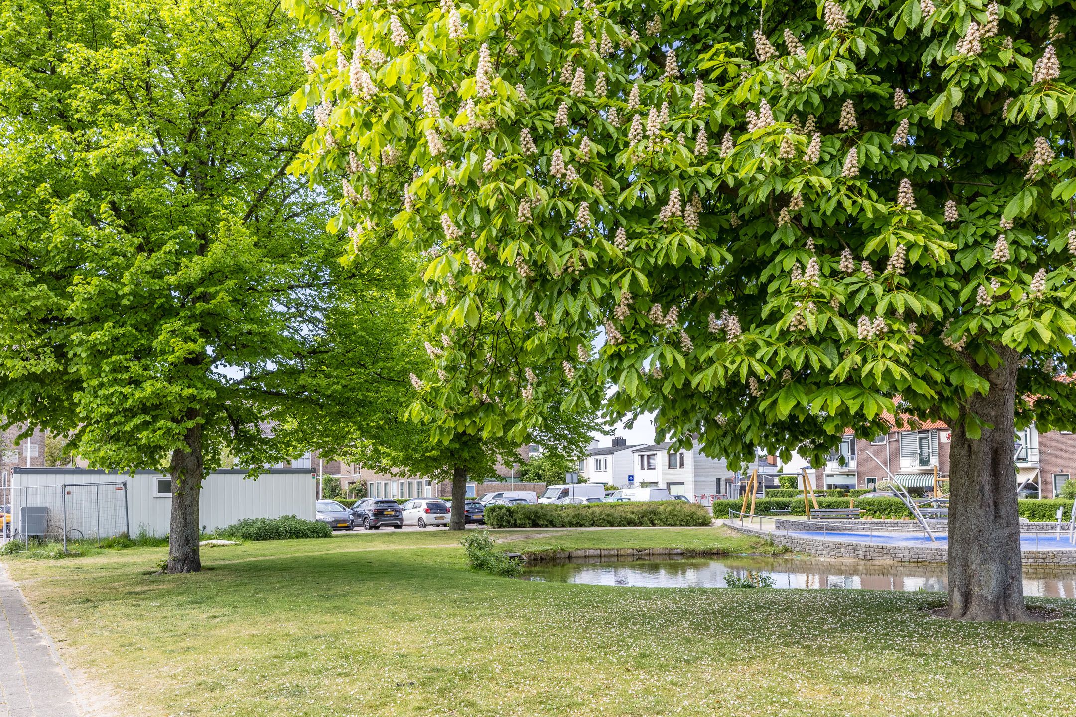 Photo 27 of Borneostraat 106