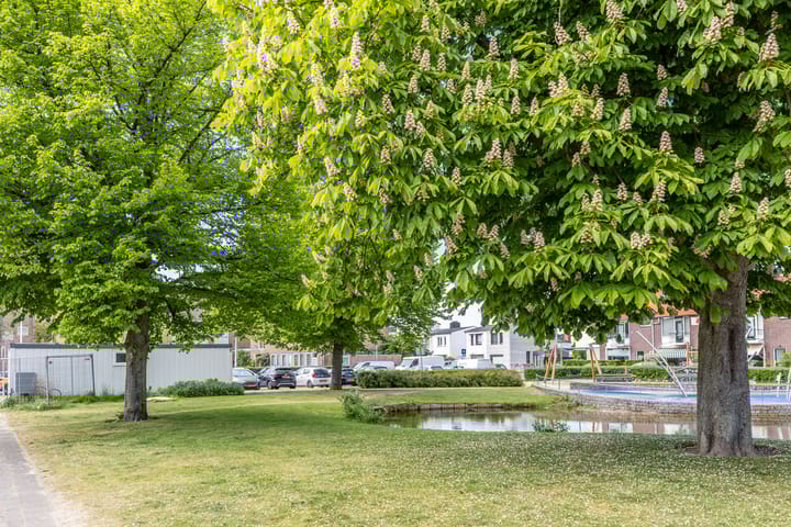 Photo 27 of Borneostraat 106