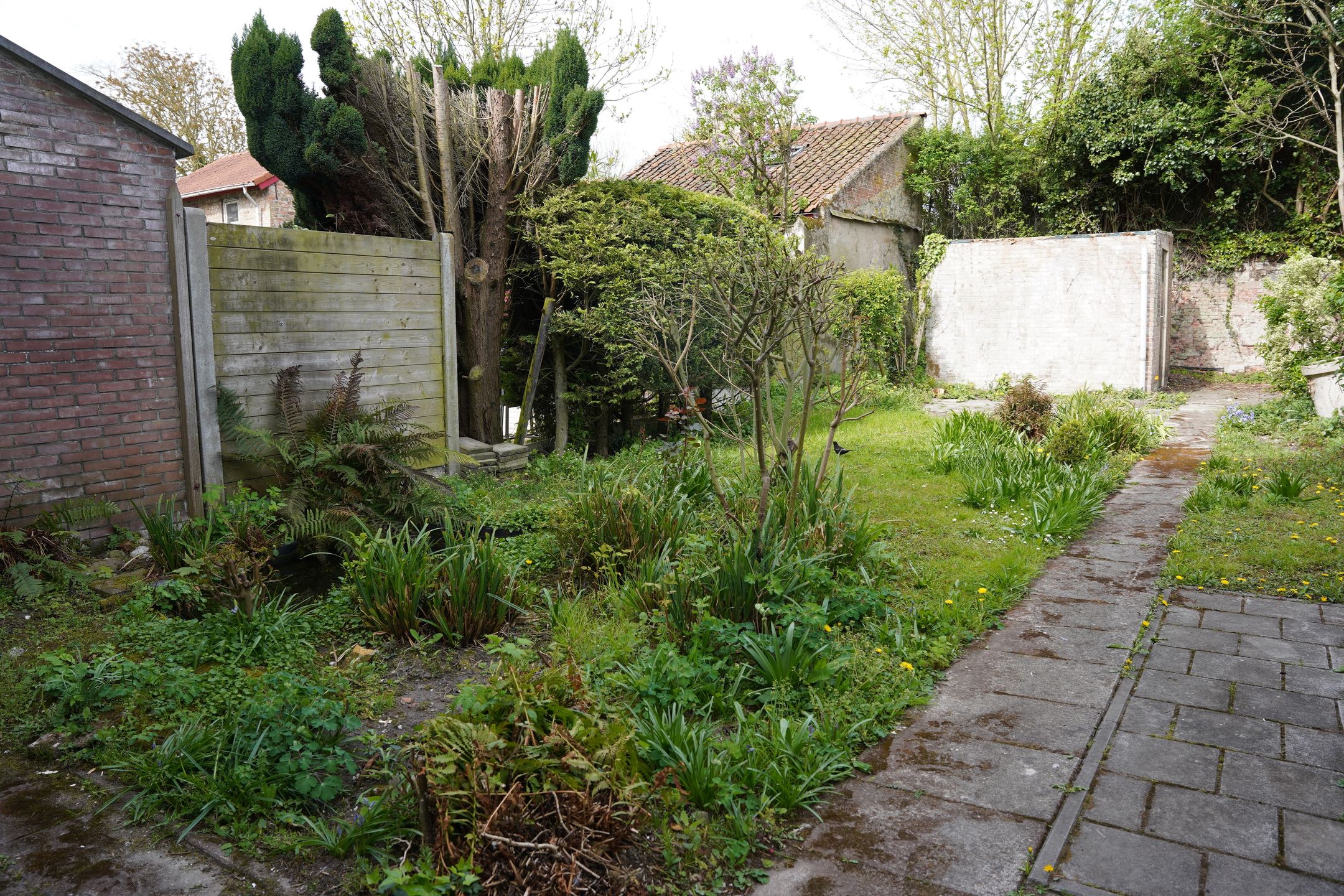 Foto 27 van Hoogstraat 19