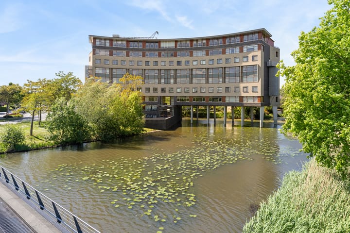 Foto 7 van Argusvlinder 67