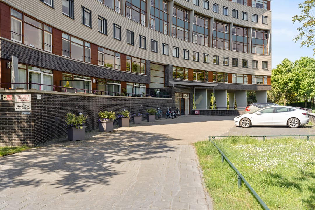 Foto 8 van Argusvlinder 67