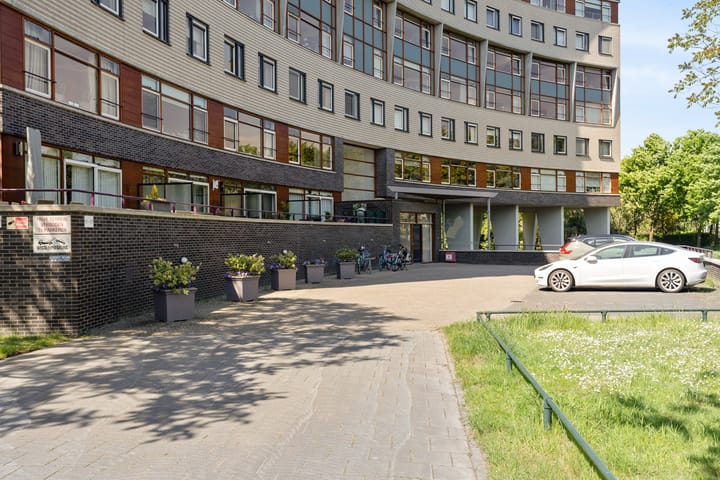 Foto 8 van Argusvlinder 67