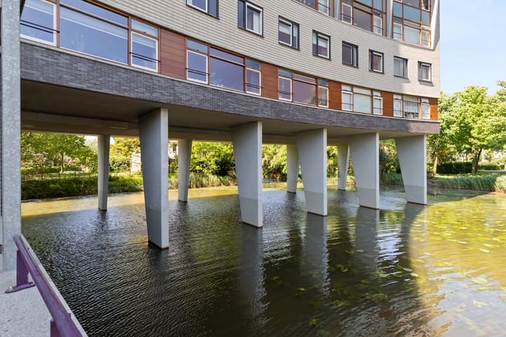 Foto 10 van Argusvlinder 67