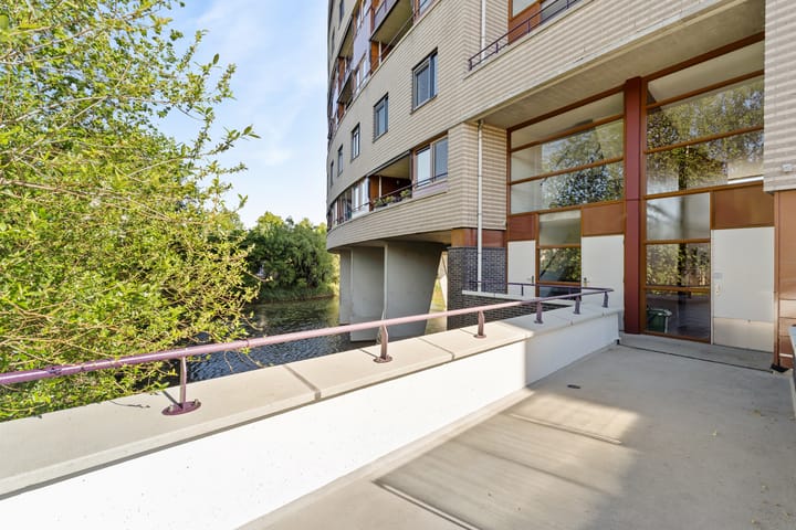 Foto 12 van Argusvlinder 67