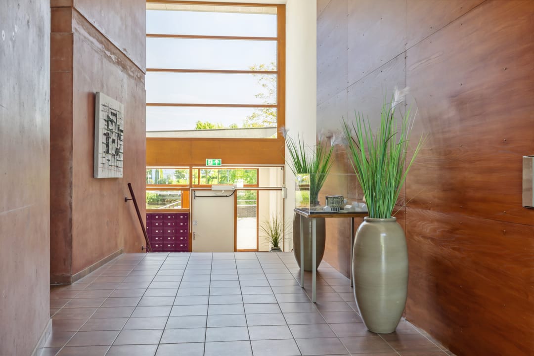 Foto 17 van Argusvlinder 67