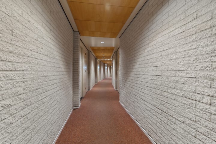 Foto 18 van Argusvlinder 67