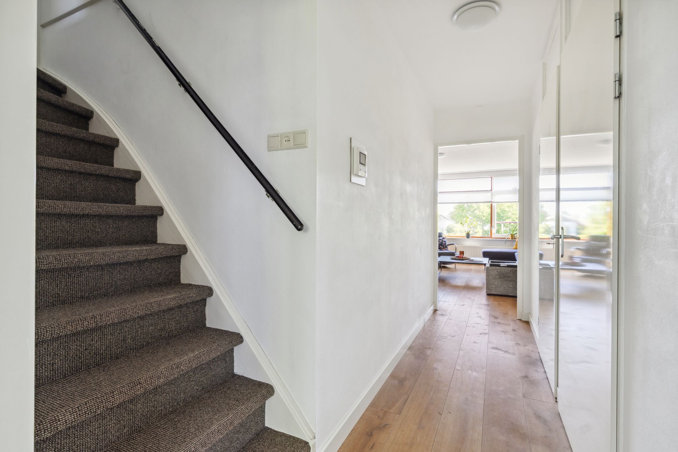 Foto 24 van Argusvlinder 67