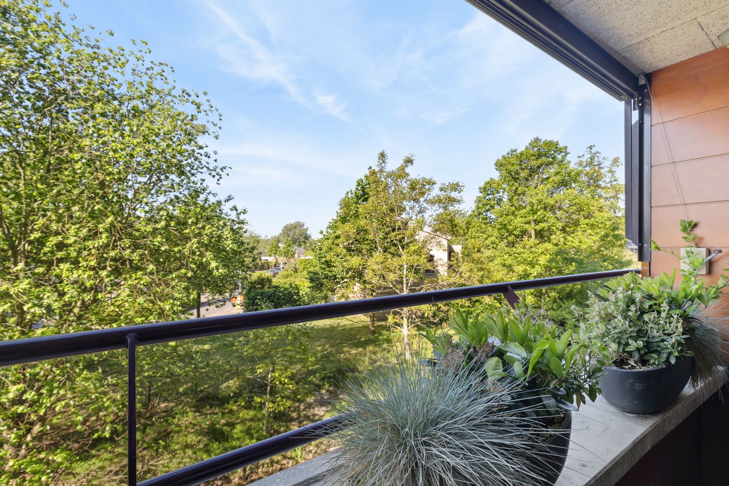 Foto 44 van Argusvlinder 67