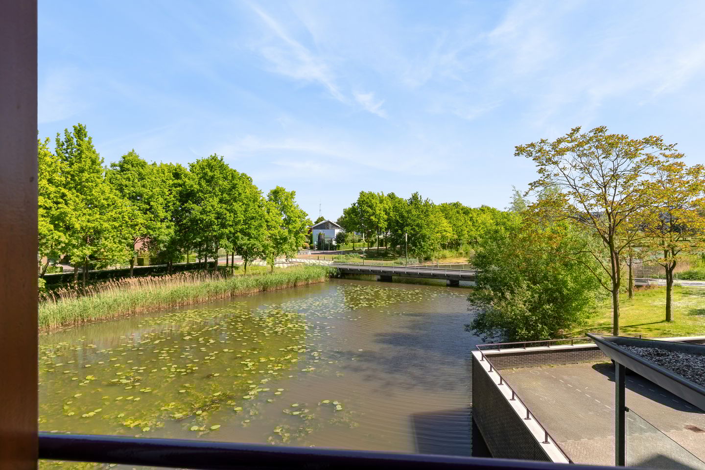 Foto 55 van Argusvlinder 67