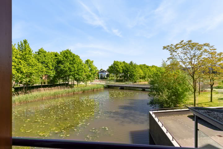 Foto 55 van Argusvlinder 67