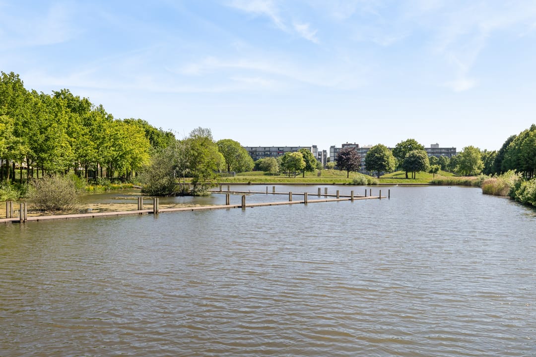 Foto 56 van Argusvlinder 67