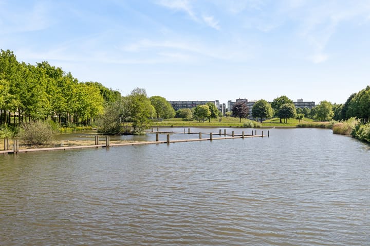 Foto 56 van Argusvlinder 67