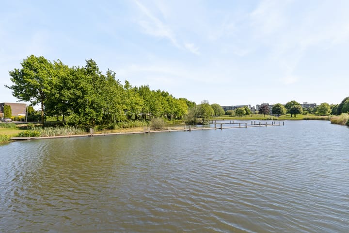 Foto 57 van Argusvlinder 67