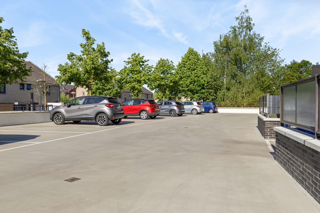 Foto 58 van Argusvlinder 67