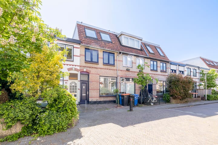 undefined main image
