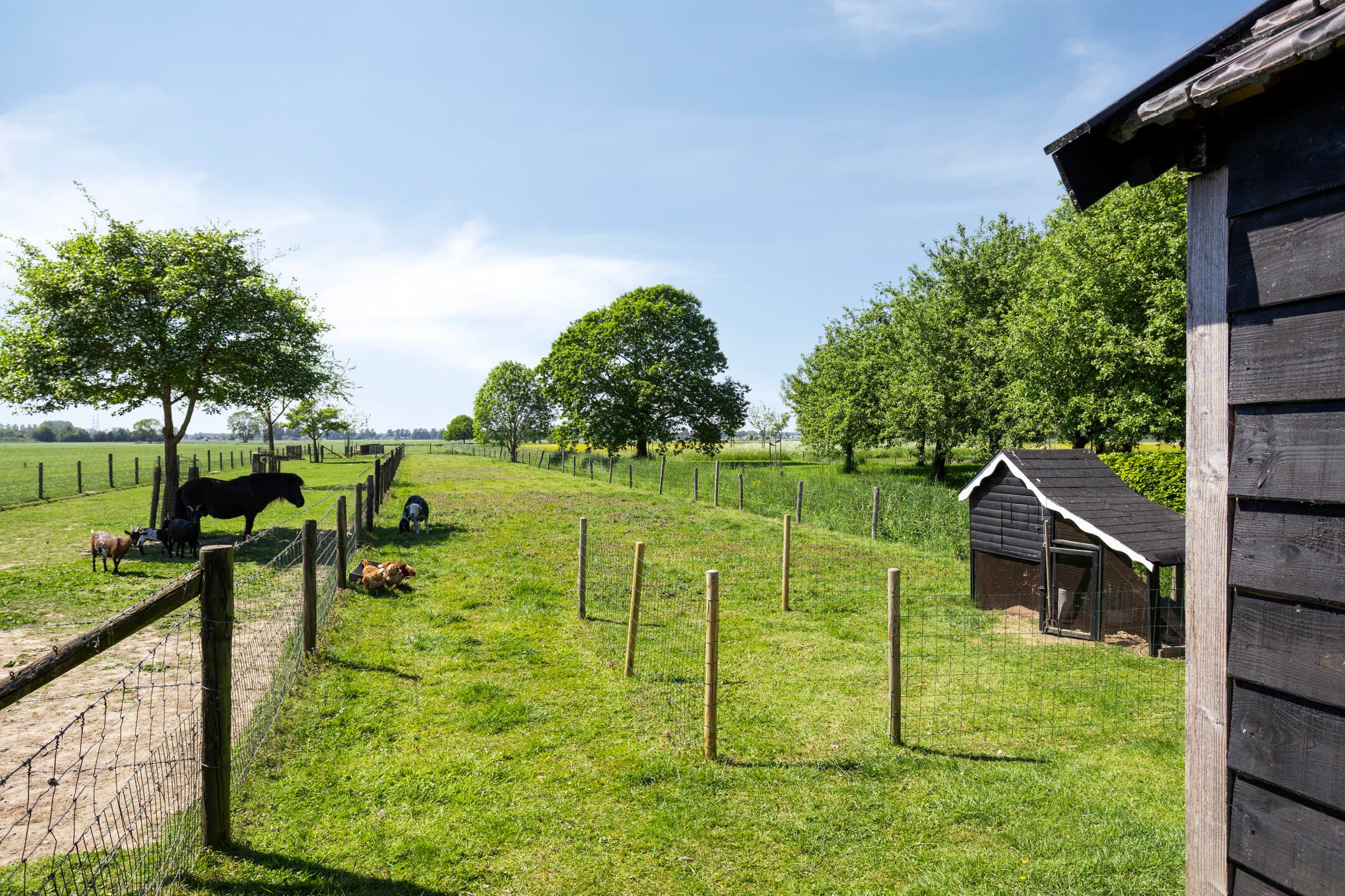 Photo 3 of Erveweg 7