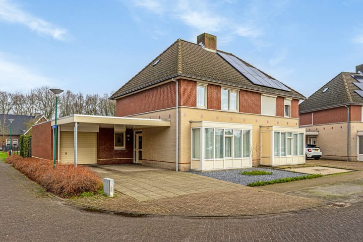 Schutsboom 75