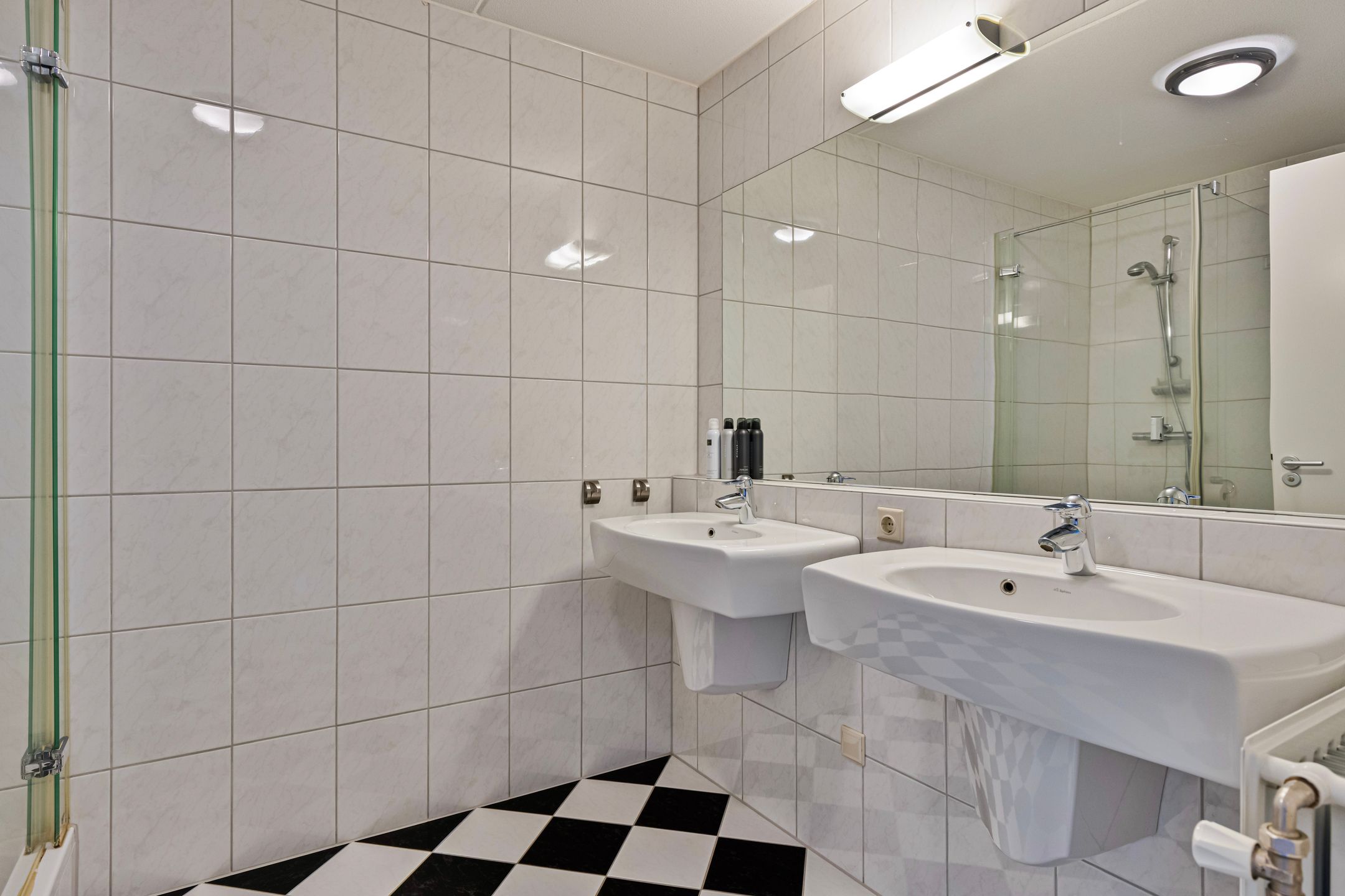 Foto 12 van Schutsboom 75