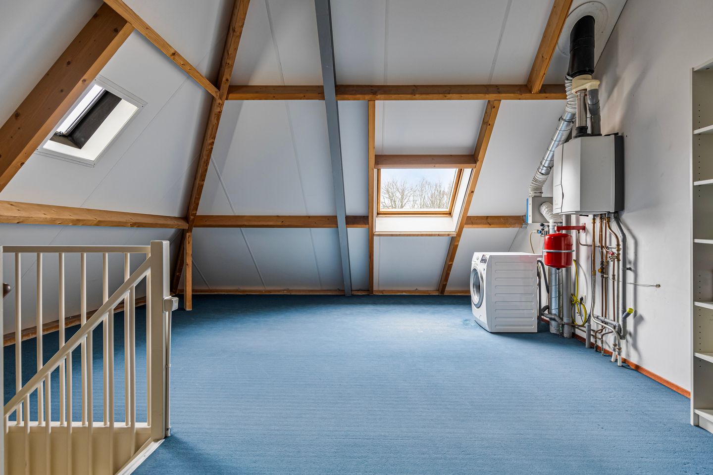 Foto 14 van Schutsboom 75