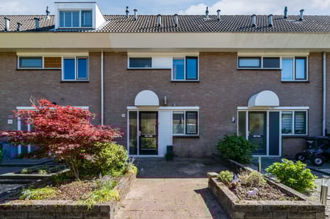 undefined main image