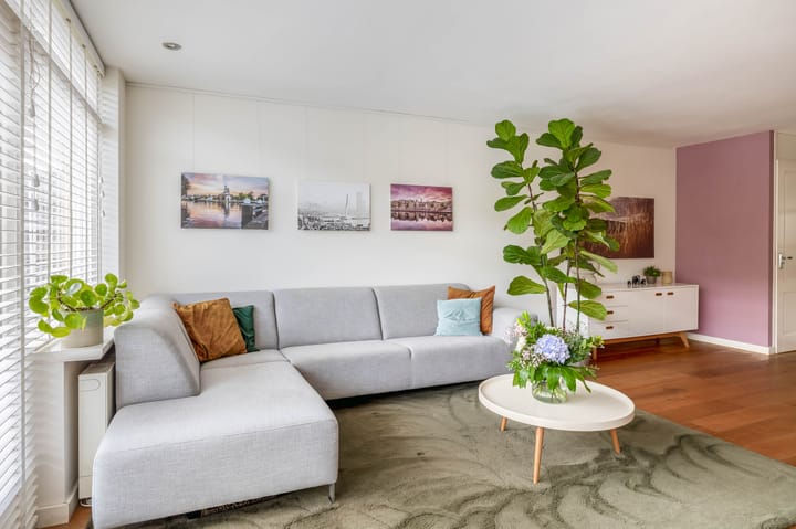 Foto 19 van Brahmsstraat 56