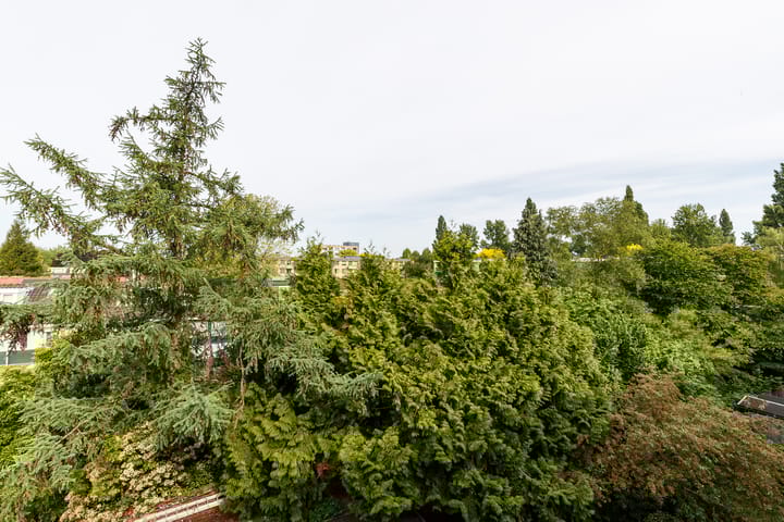 Foto 20 van Akker 95