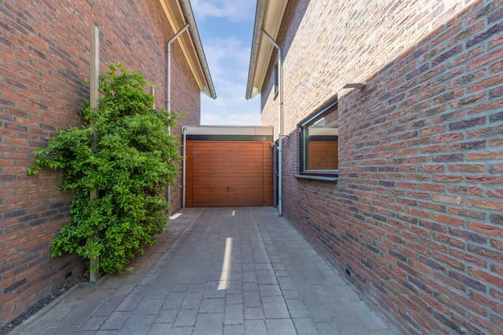 Foto 10 van Zaailand 82