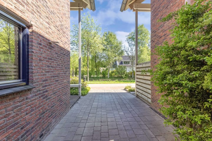 Foto 11 van Zaailand 82